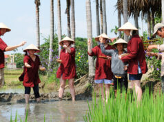 Một ngày ở làng quê An Mỹ