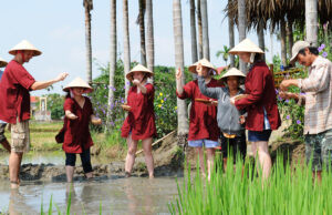 Một ngày ở làng quê An Mỹ