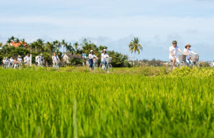 Khám phá Hội An bằng xe đạp – Hành trình xanh cho một ngày sống chậm