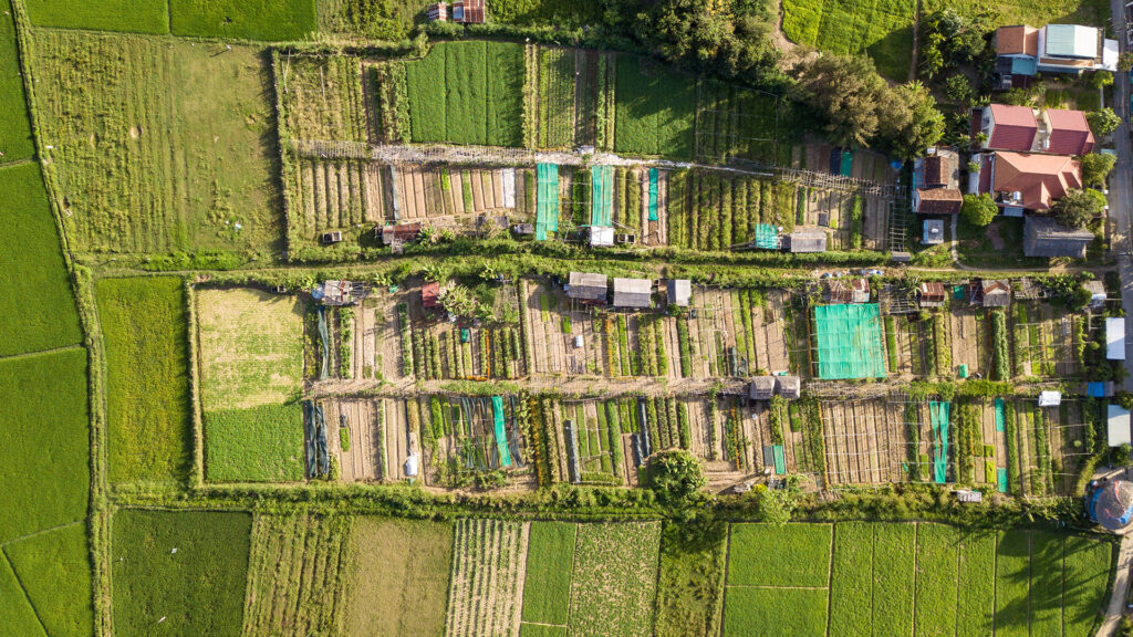 Du lịch xanh Hội An 6