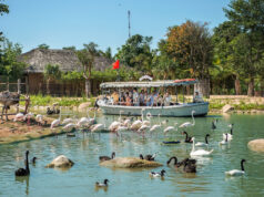 Gợi ý lịch trình Hội An cho gia đình: Trải nghiệm trọn vẹn từ di sản đến giải trí hiện đại